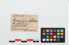 Etiketten zu Armreif (NHMW-PRAE-024430)